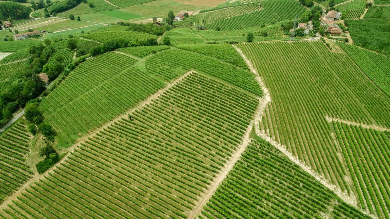 Agriturismo Relais "Il Bricco" Nizza Monferrato Exterior foto