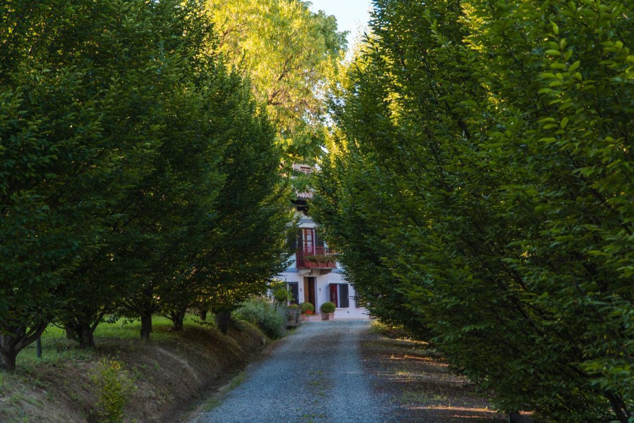 Agriturismo Relais "Il Bricco" Nizza Monferrato Exterior foto