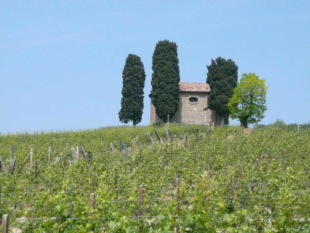 Agriturismo Relais "Il Bricco" Nizza Monferrato Exterior foto