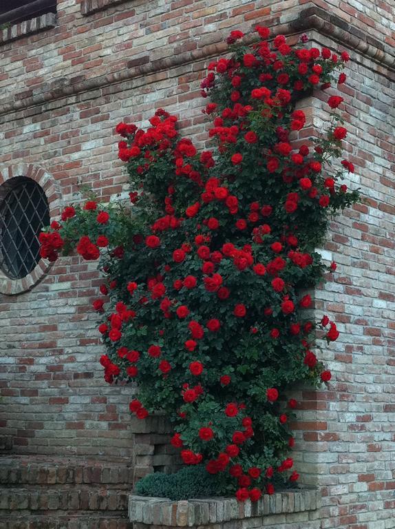 Agriturismo Relais "Il Bricco" Nizza Monferrato Exterior foto