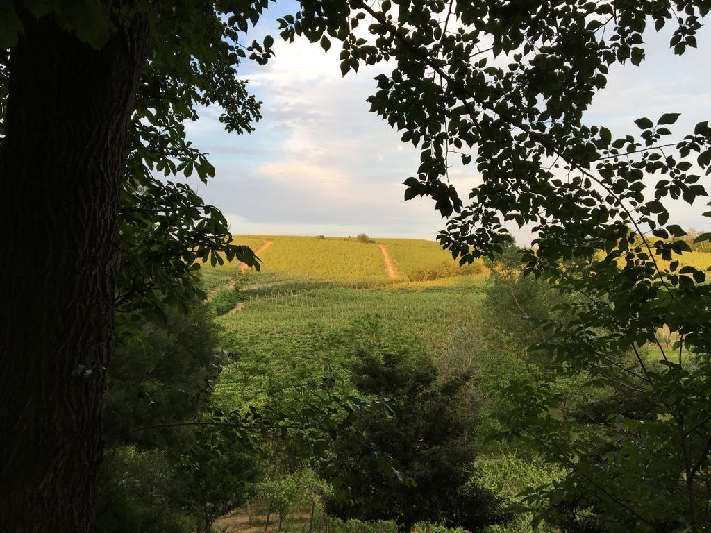 Agriturismo Relais "Il Bricco" Nizza Monferrato Exterior foto