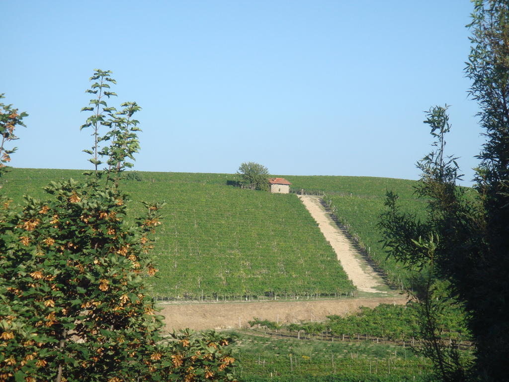 Agriturismo Relais "Il Bricco" Nizza Monferrato Exterior foto