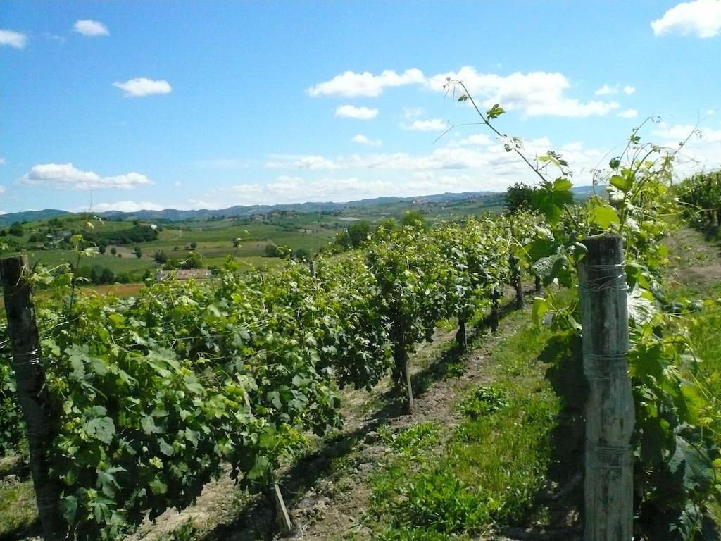 Agriturismo Relais "Il Bricco" Nizza Monferrato Exterior foto